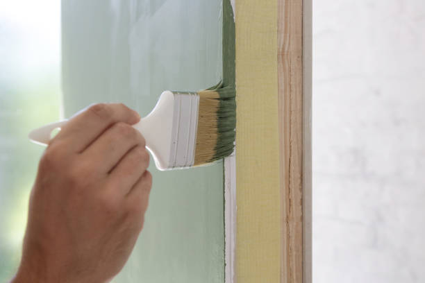 Best Basement Mold Removal  in New Philadelphia, OH