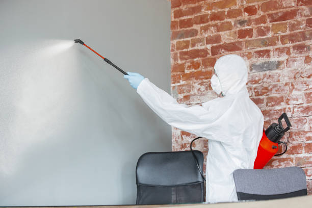 Best Mold Remediation for Healthcare Facilities  in New Philadelphia, OH