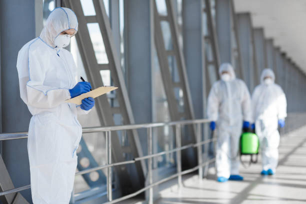New Philadelphia, OH Mold Removal Company