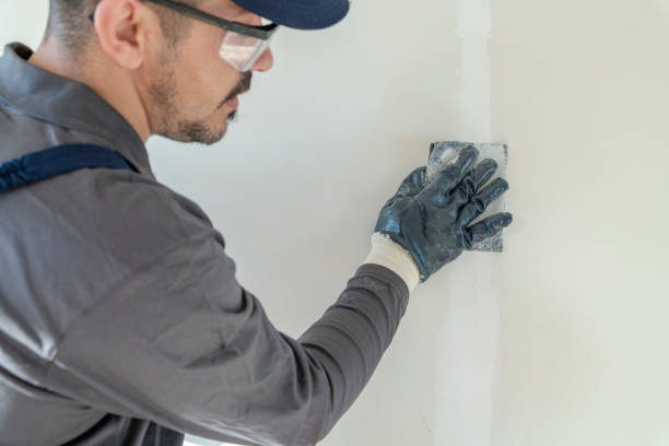Best Black Mold Removal  in New Philadelphia, OH