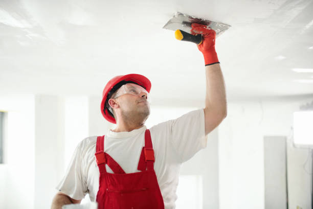 Best Airborne Mold Testing  in New Philadelphia, OH